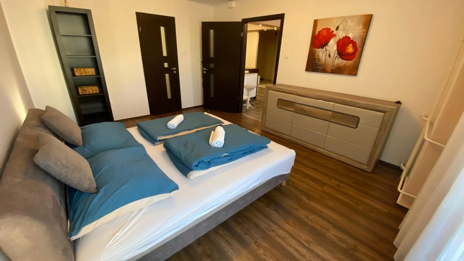 Modern City-Center Apartment Debrecen